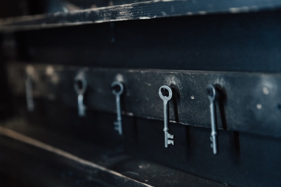 Close-up of antique skeleton keys hanging in a row on a dark wall.