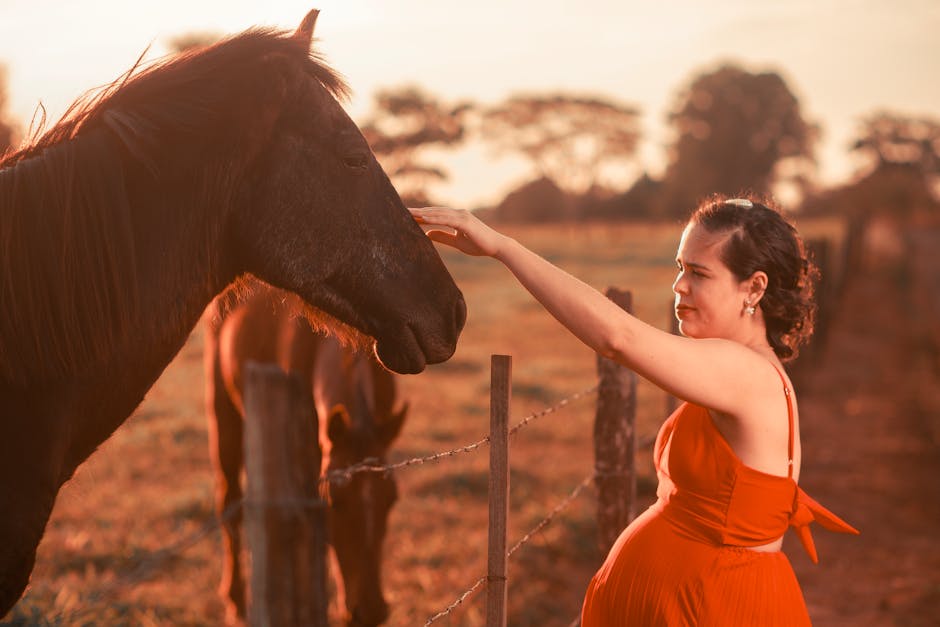 A pregnant woman in a red dress pets a horse outdoors during sunset, evoking warmth and connection.